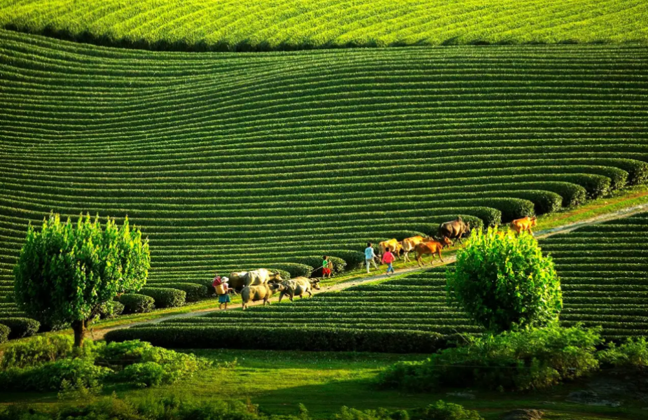 2 Days 1 Night Tourist Destinations Near Hanoi - Suggested Memorable Itineraries
