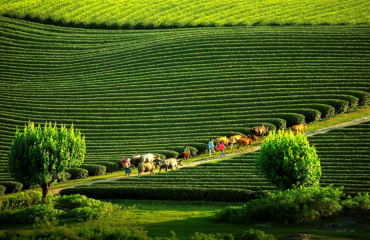 2 Days 1 Night Tourist Destinations Near Hanoi - Suggested Memorable Itineraries